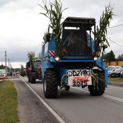 Dożynki w Orzeszu Zawiści