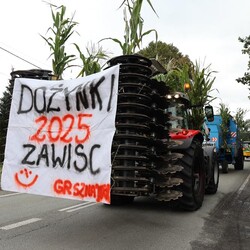 Dożynki w Orzeszu Zawiści