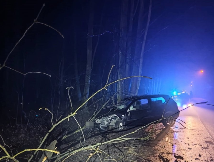 Auto rozbite o drzewo. Kierujący nim mężczyzna bez uprawnień i z narkotykami!