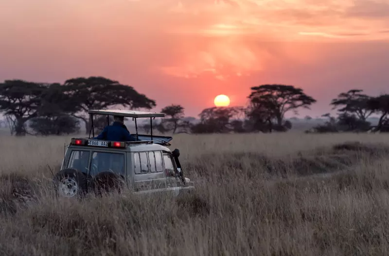 Czy warto wybrać się na safari w Tanzanii?