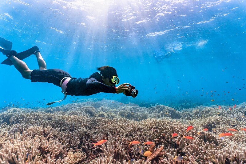 Czy wiesz, że maski do snorkelingu mają części zamienne?