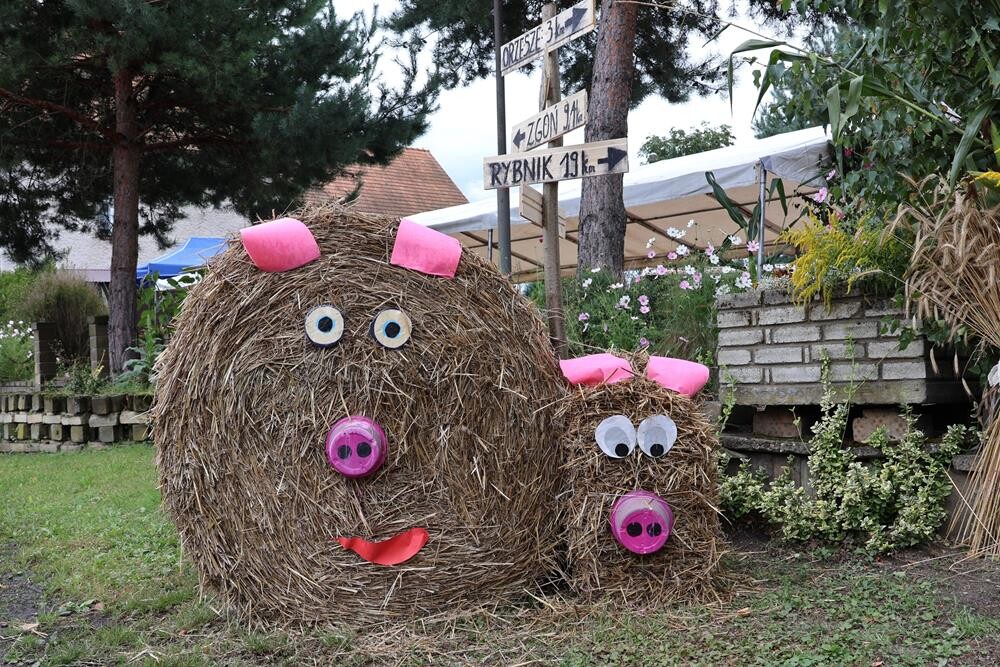 Dożynki w Orzeszu Zawiści / fot. UM Orzesze