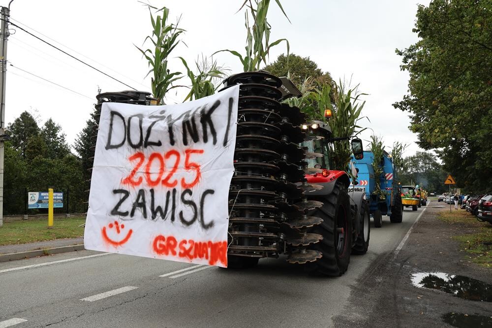 Dożynki w Orzeszu Zawiści / fot. UM Orzesze