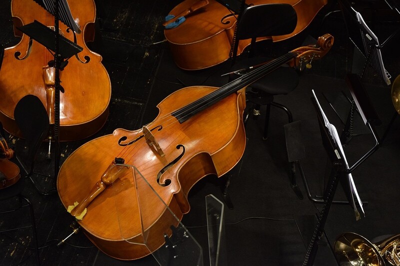 "Dzieciak w Filharmonii" – koncert o kontrabasie w Orzeszu