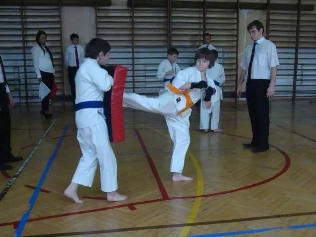 Zawody Oyama Karate o Puchar Burmistrza Miasta Orzesze