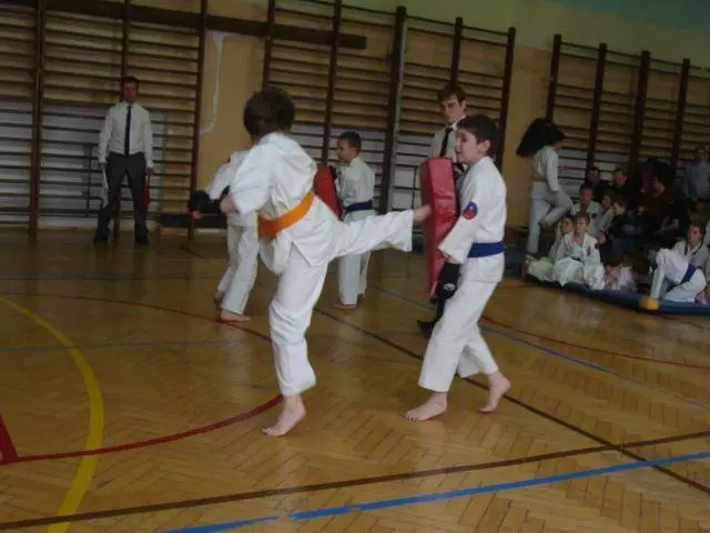 Zawody Oyama Karate o Puchar Burmistrza Miasta Orzesze